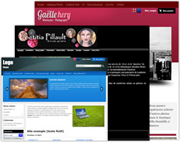 3 miniatures de site internet